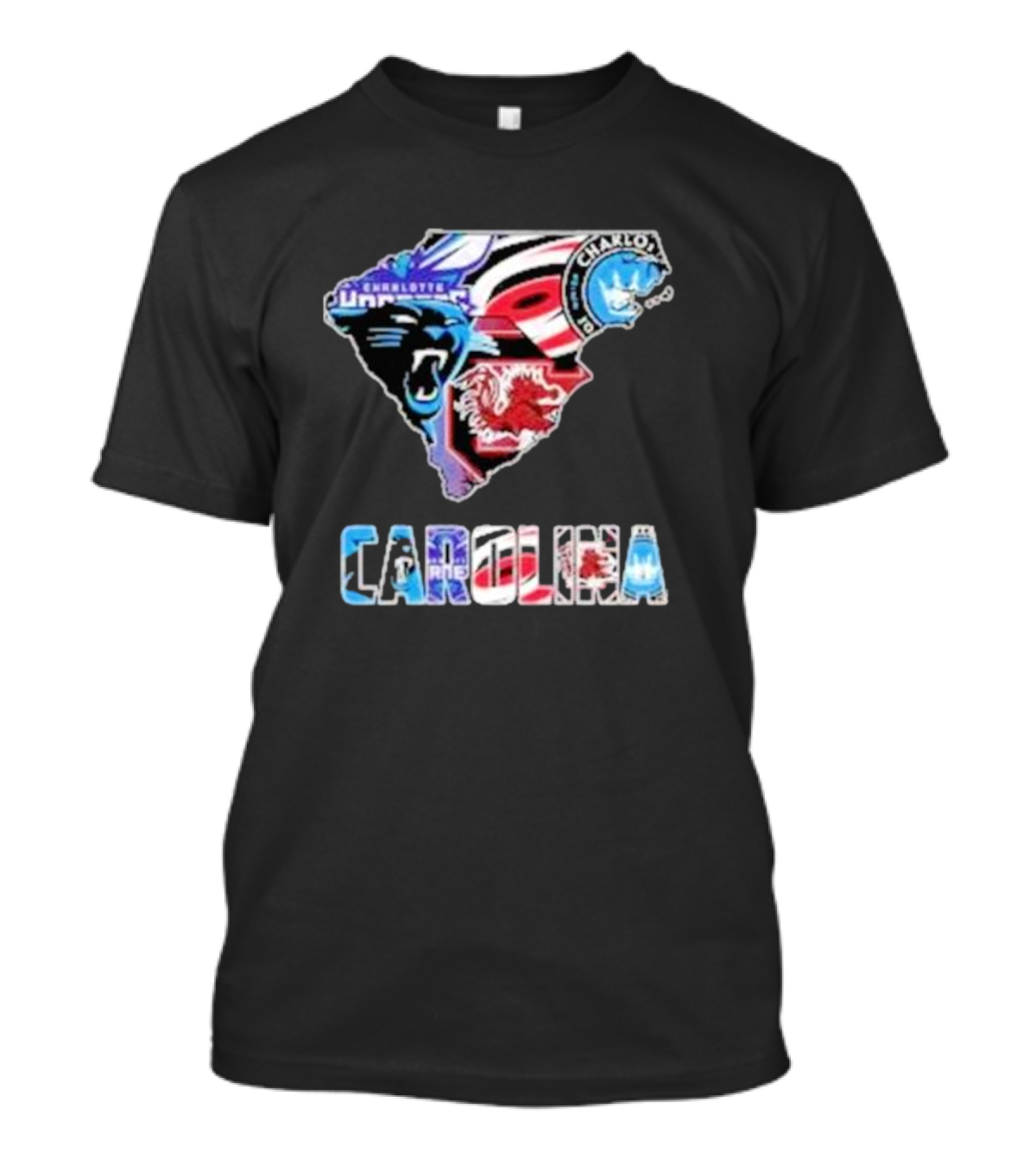 Carolina Panthers South Carolina Gamecocks Charlotte FC Hurricanes Carolina T-Shirt