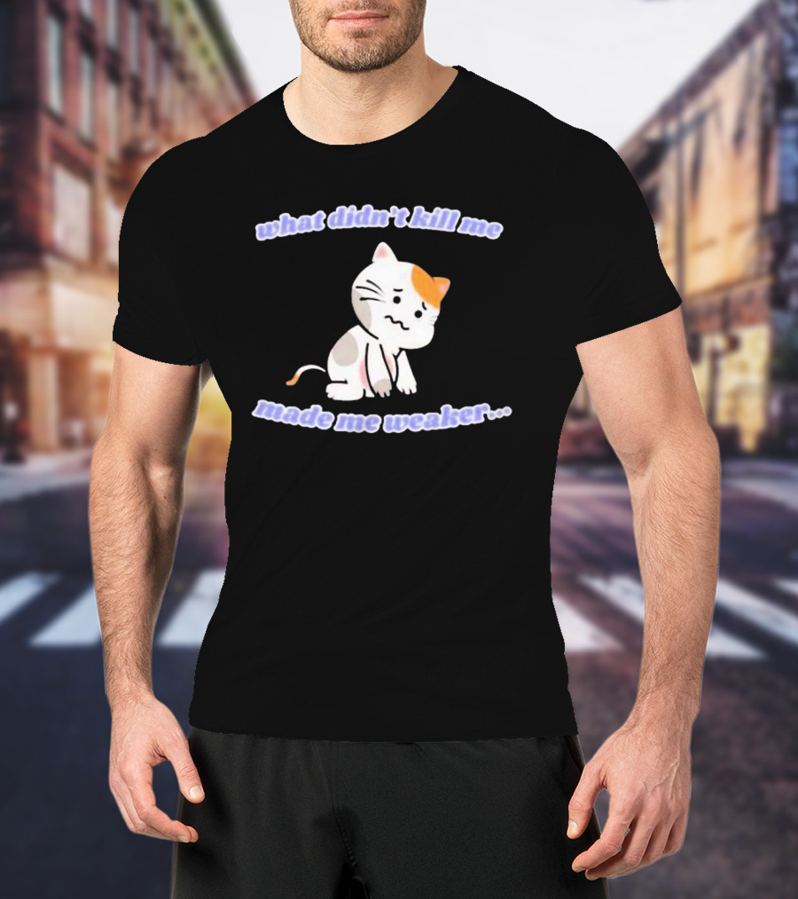 What Didn’t Kill Me Made Me Weaker Sad Cat T-Shirt