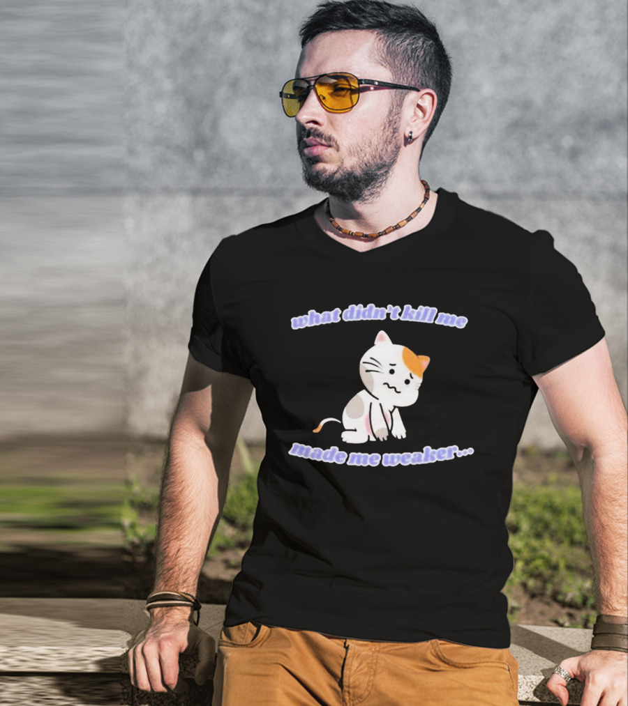 What Didn’t Kill Me Made Me Weaker Sad Cat T-Shirt