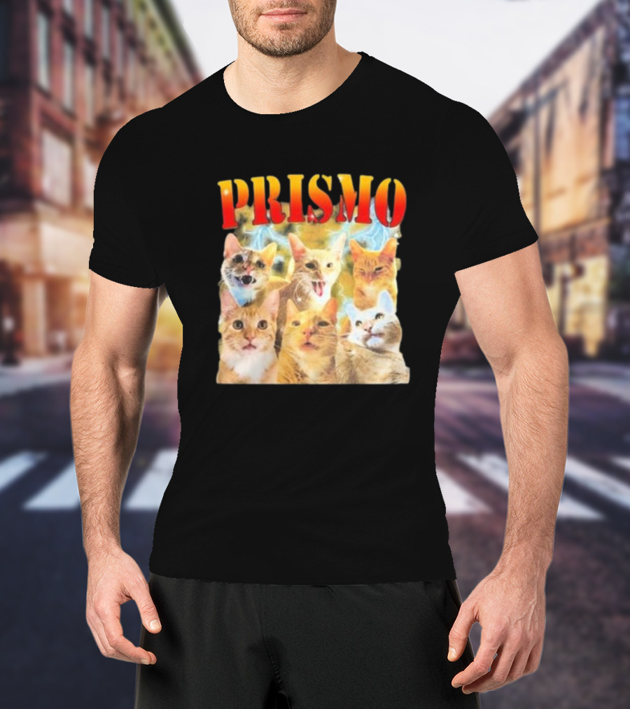 Prismo Cats Colorful Expressions Feline Montage T-Shirt