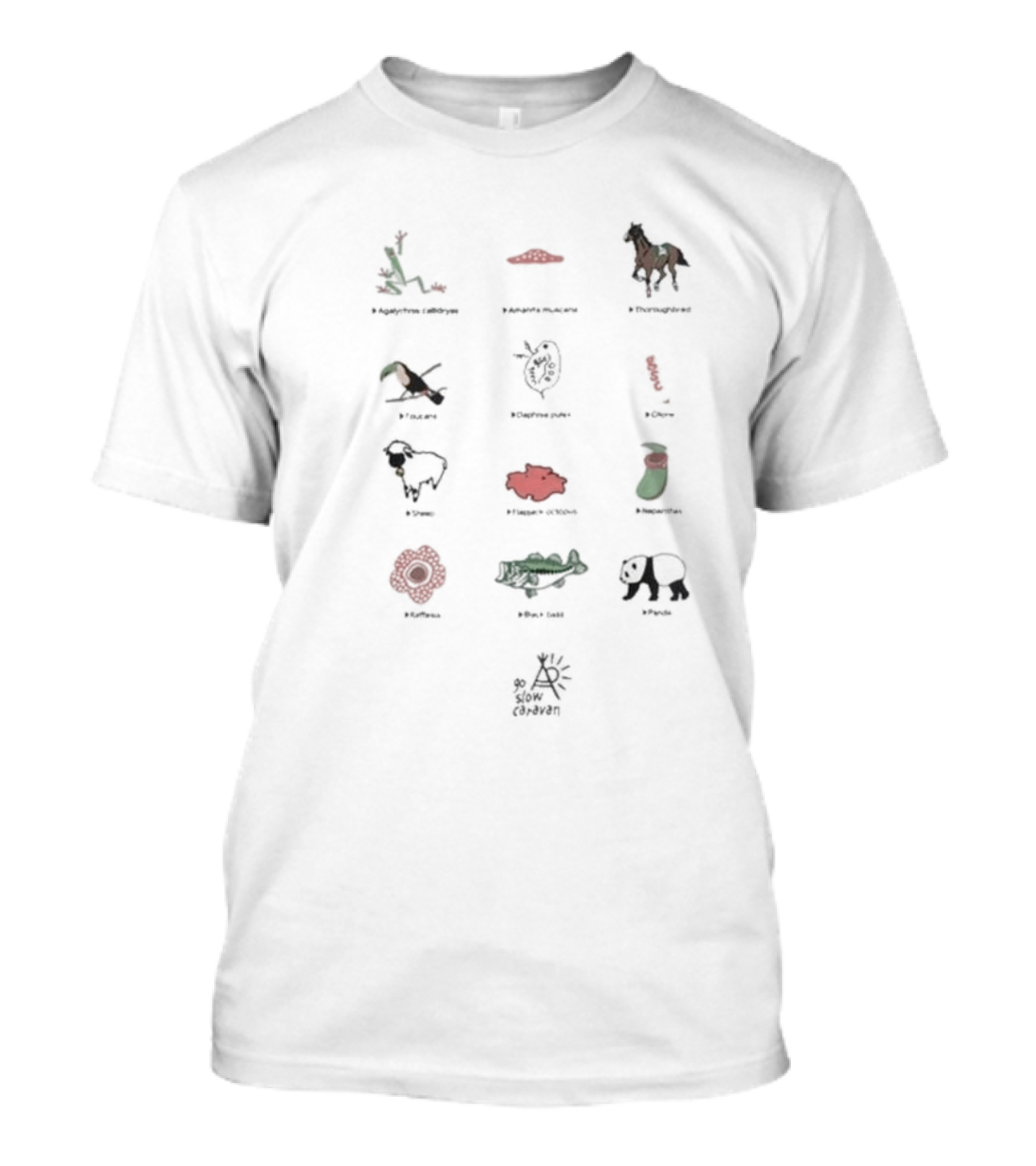 Usa C Gsc Various Motif Back Print Pkt Loose Fitting Garden Snake Manhattan Horse Puffin Dragonfly Great Barrier Reef Poppy Sheep Strawberry Fire Flower Caiman Panda Arles Cezanne T-Shirt