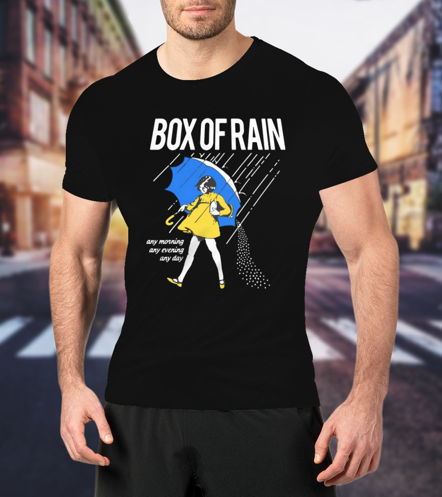 Box Of Rain Any Morning Any Evening Any Day T-Shirt