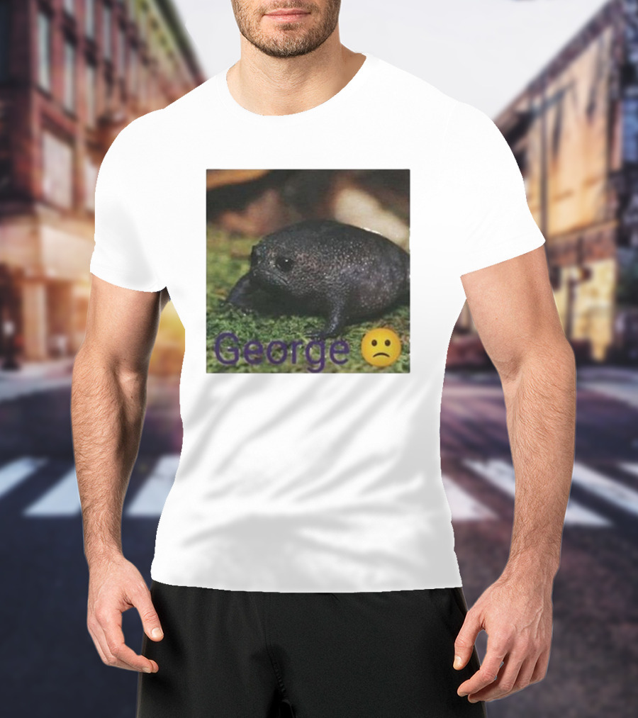 George Sad Frog Meme Inspired Image T-Shirt