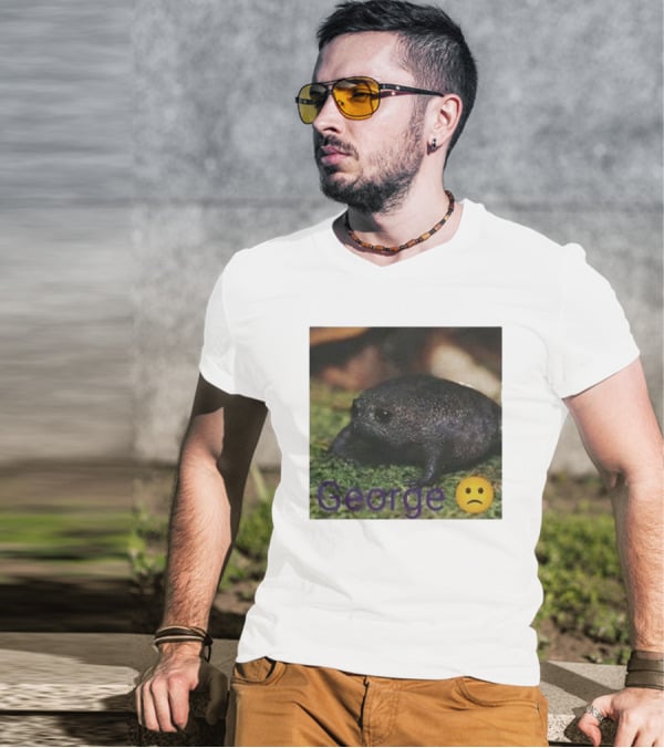 George Sad Frog Meme Inspired Image T-Shirt