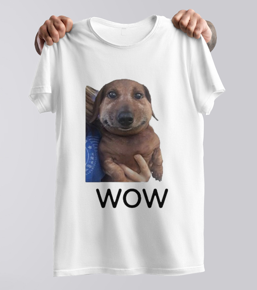 Fallenchungus Wow Dog Meme With Funny Expression T-Shirt