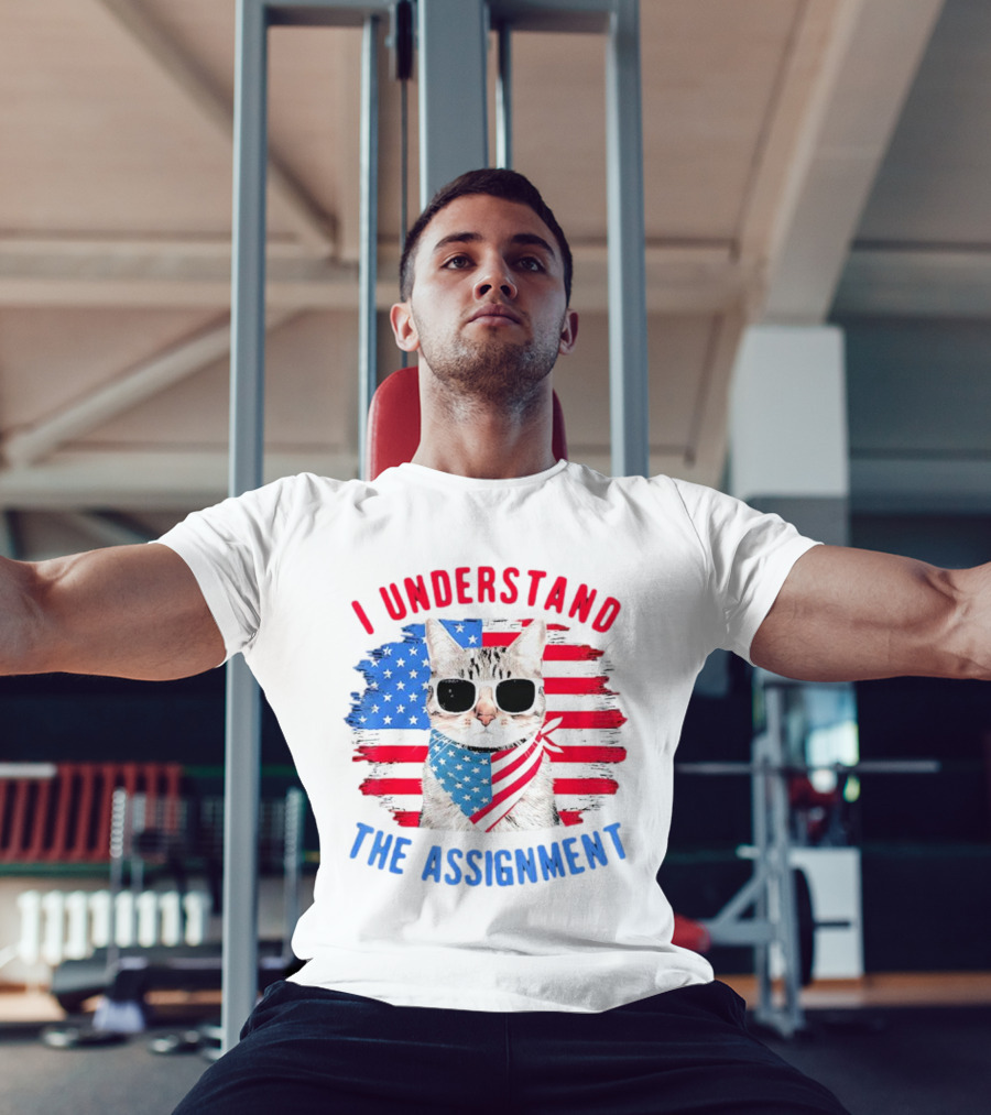I Understand The Assignment Cat With American Flag Sunglasses And Scarf T-Shirt