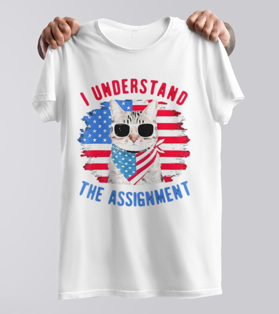 I Understand The Assignment Cat With American Flag Sunglasses And Scarf T-Shirt