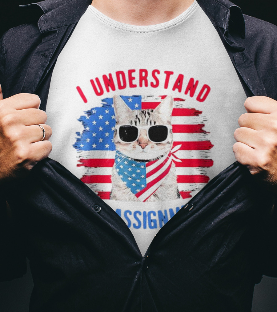 I Understand The Assignment Cat With American Flag Sunglasses And Scarf T-Shirt