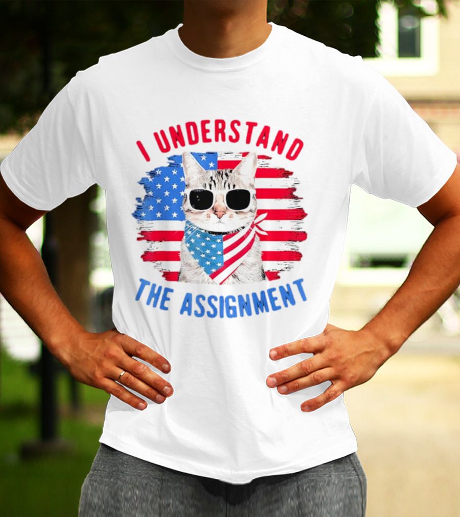 I Understand The Assignment Cat With American Flag Sunglasses And Scarf T-Shirt