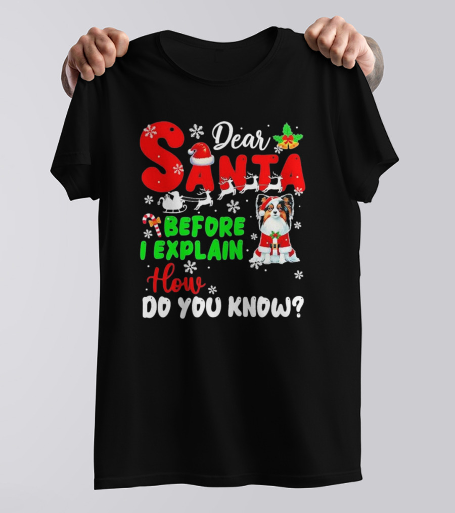Dear Santa Before I Explain How Do You Know Santa Hat Reindeer Dog Xmas T-Shirt