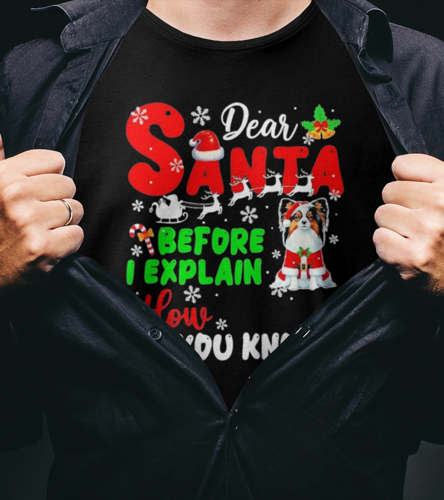 Dear Santa Before I Explain How Do You Know Santa Hat Reindeer Dog Xmas T-Shirt