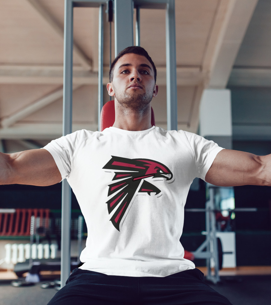 NFL NBA Atlanta Falcons Hawks Logo Mashup T-Shirt