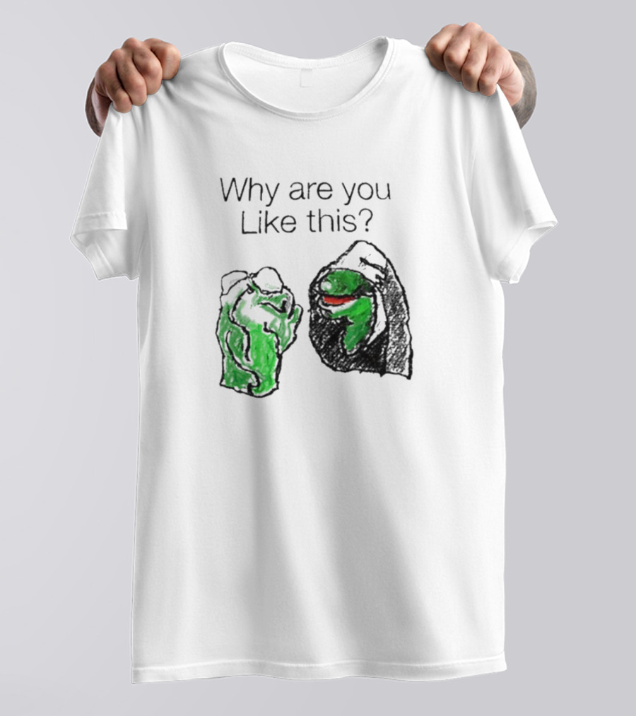 Why Are You Like This Meme Frog Hoodie Inner Self Conflict T-Shirt
