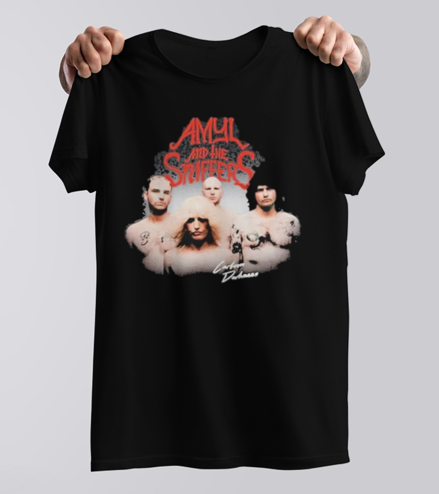 Amyl And The Sniffers Band Comfort To Me Logo Photo T-Shirt