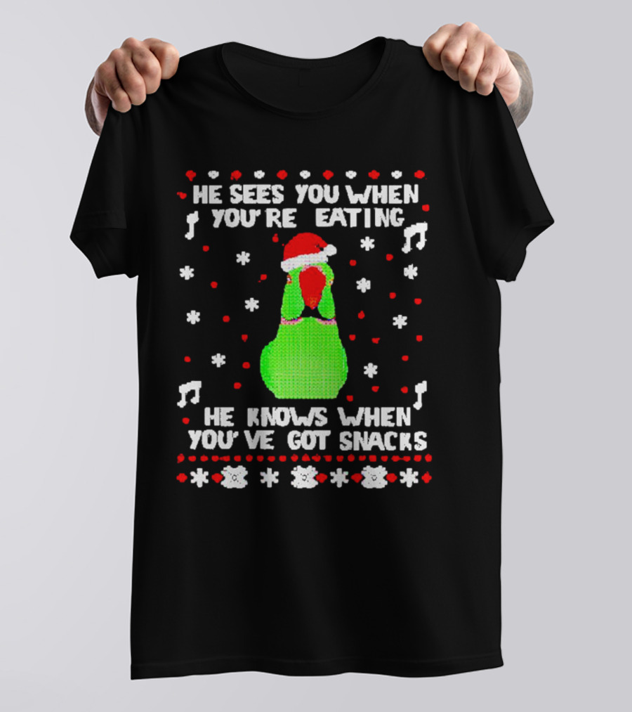 Parrot Ugly Christmas He Sees You When You’re Eating He Knows When You’ve Got Snacks T-Shirt