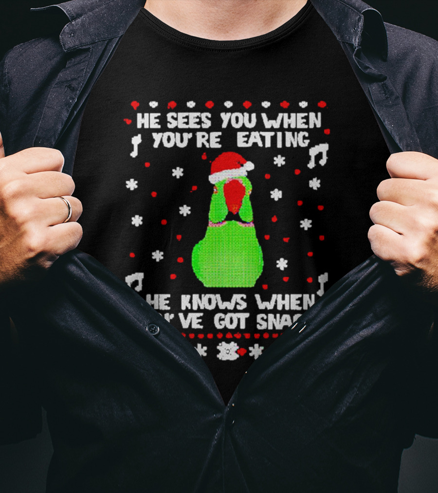 Parrot Ugly Christmas He Sees You When You’re Eating He Knows When You’ve Got Snacks T-Shirt