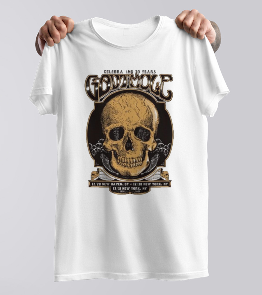 Gov’t Mule Celebrating 30 Years NYE Shows Dec 28 New Haven CT And Dec 30-31 New York NY T-Shirt