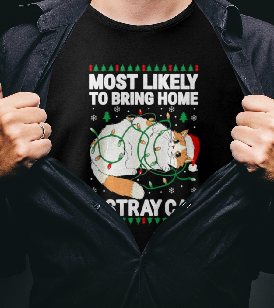 Most Likely To Bring Home A Stray Cat Christmas Lights Santa Hat Festive Holiday Cat T-Shirt