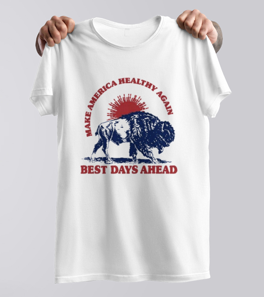 Make America Healthy Again Best Days Ahead Buffalo Bison Sunburst T-Shirt