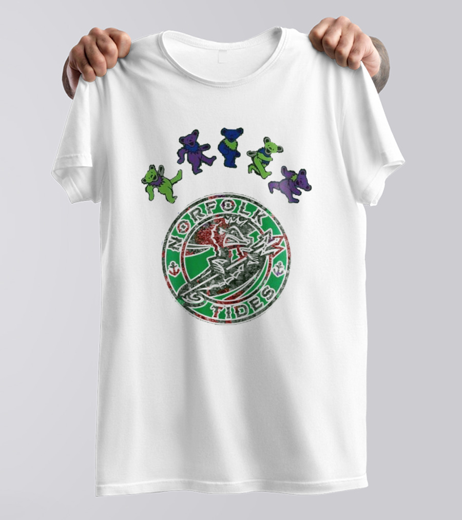 Norfolk Tides Grateful Dead Night 2025 Dancing Bears Baseball T-Shirt