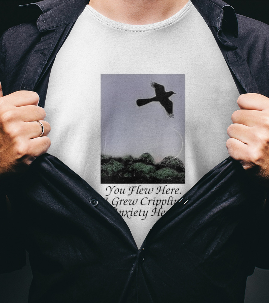 You Flew Here I Grew Crippling Anxiety Here Plane And Nature Scene T-Shirt