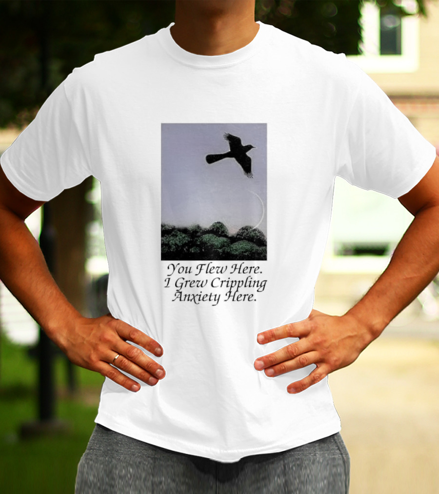 You Flew Here I Grew Crippling Anxiety Here Plane And Nature Scene T-Shirt