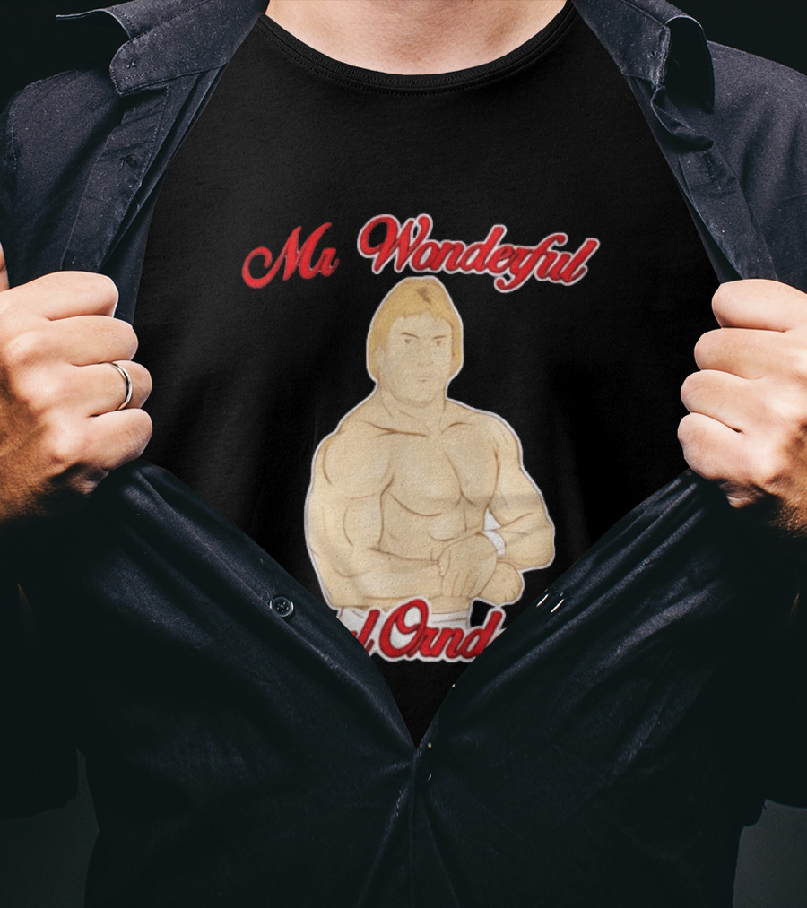 Mr Wonderful Paul Orndorff Vintage Wrestling Legend T-Shirt