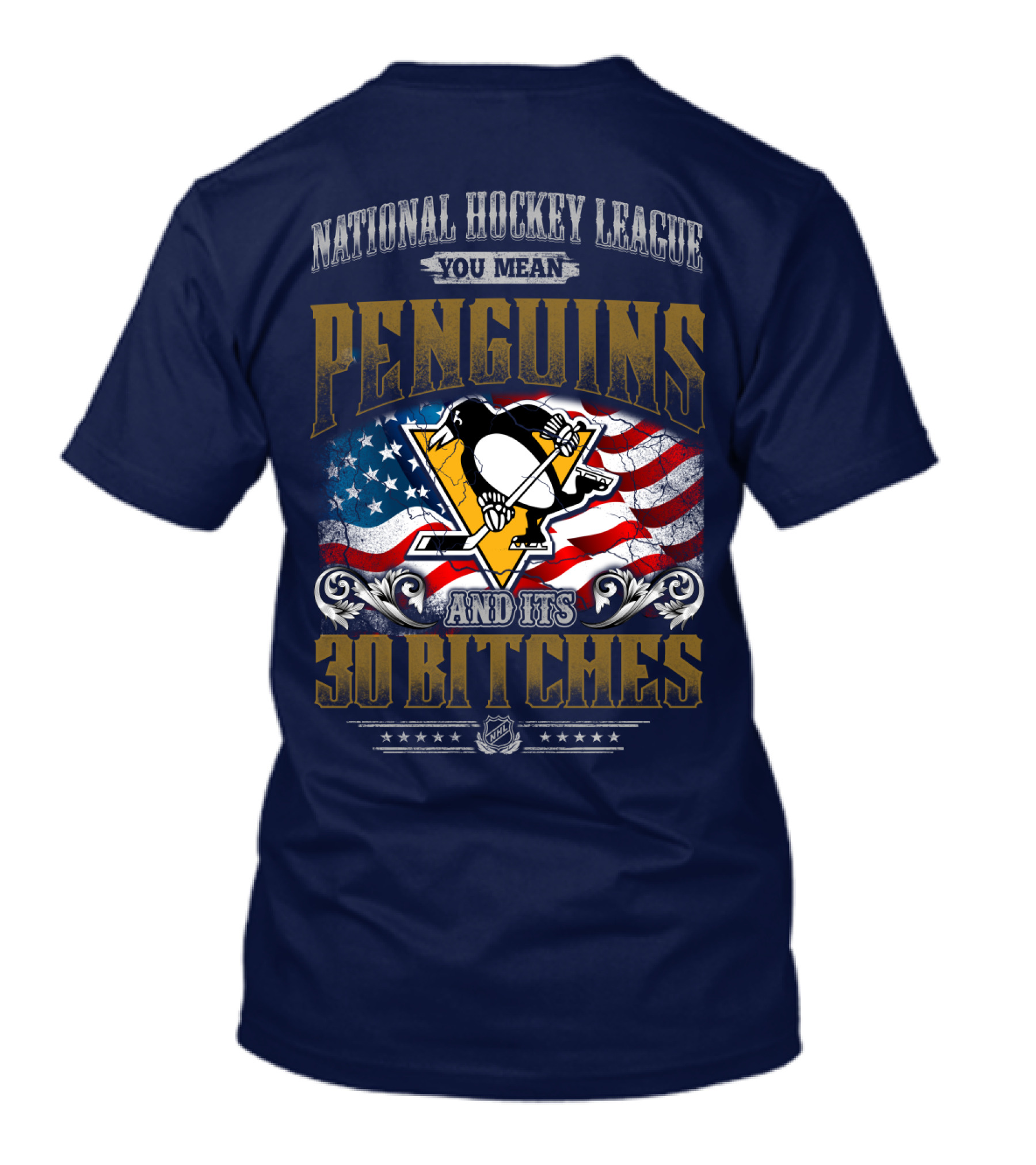 National Hockey League You Mean Penguins And Its 30 Bitches T-Shirt