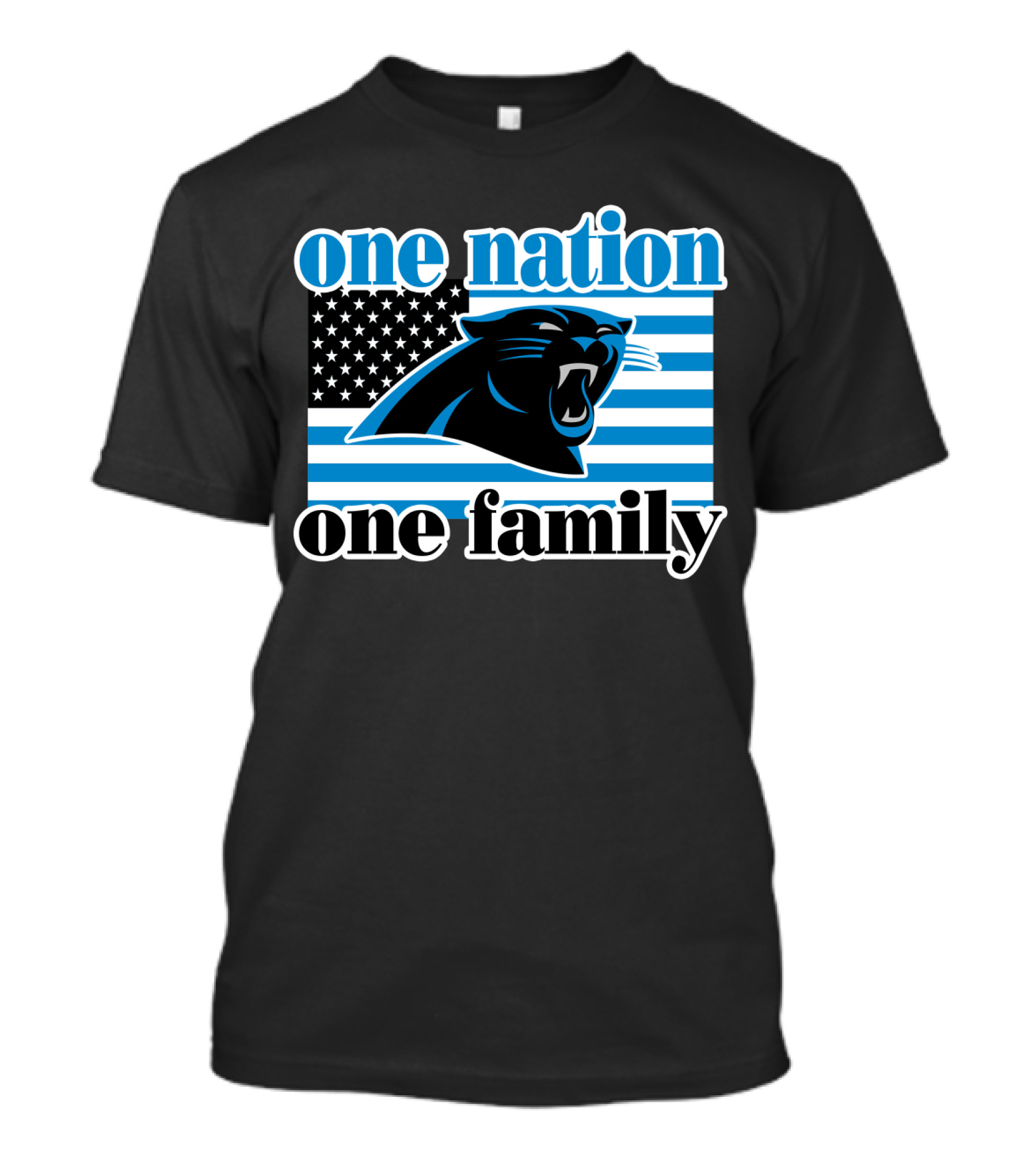 One Nation One Family Carolina Panthers 28 T-Shirt