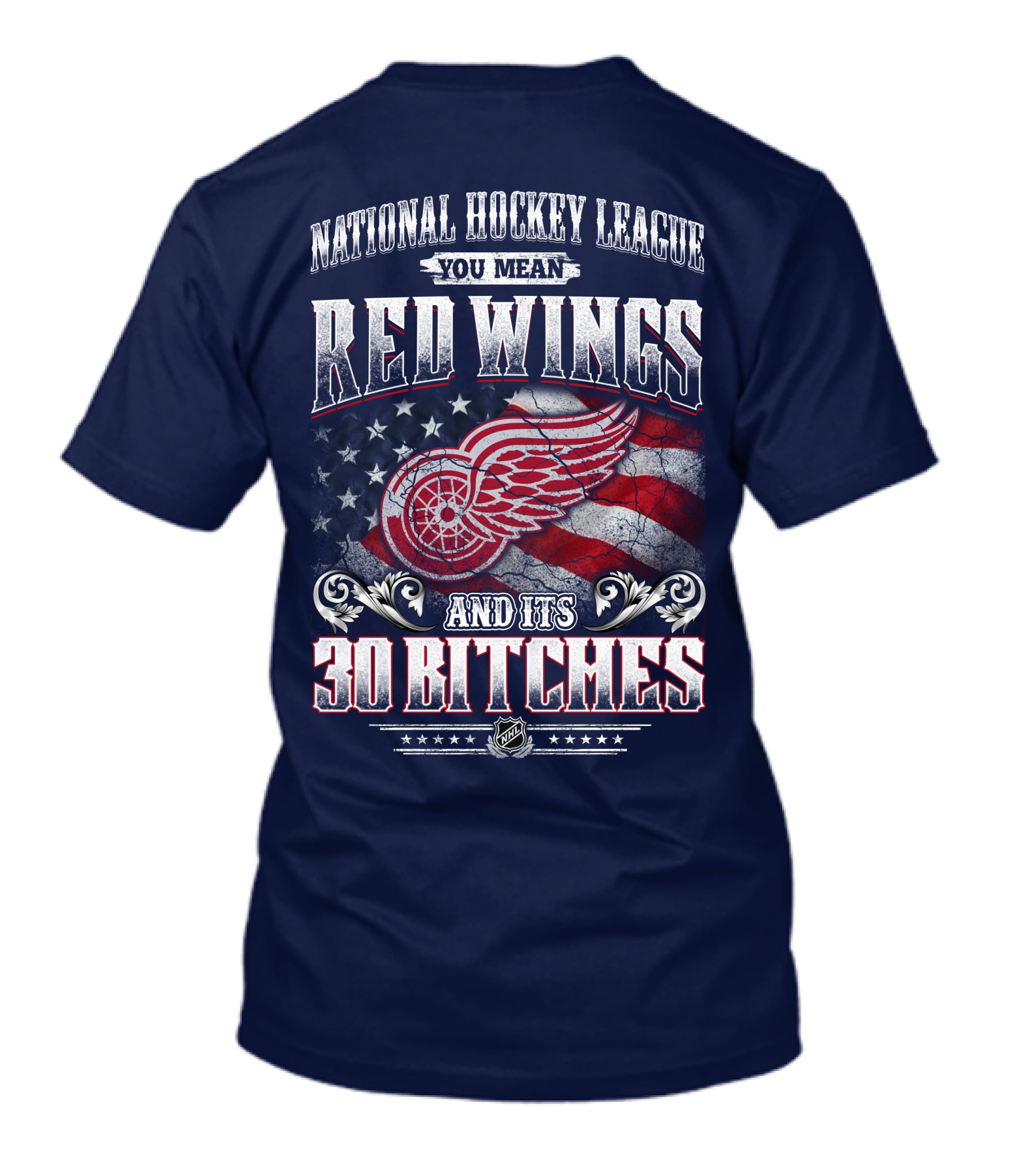 National Hockey League You Mean Red Wings And Its 30 Bitches T-Shirt
