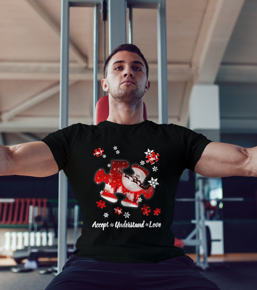 Accept Understand Love Autism Puzzle Christmas Snowflakes Santa Sleigh T-Shirt