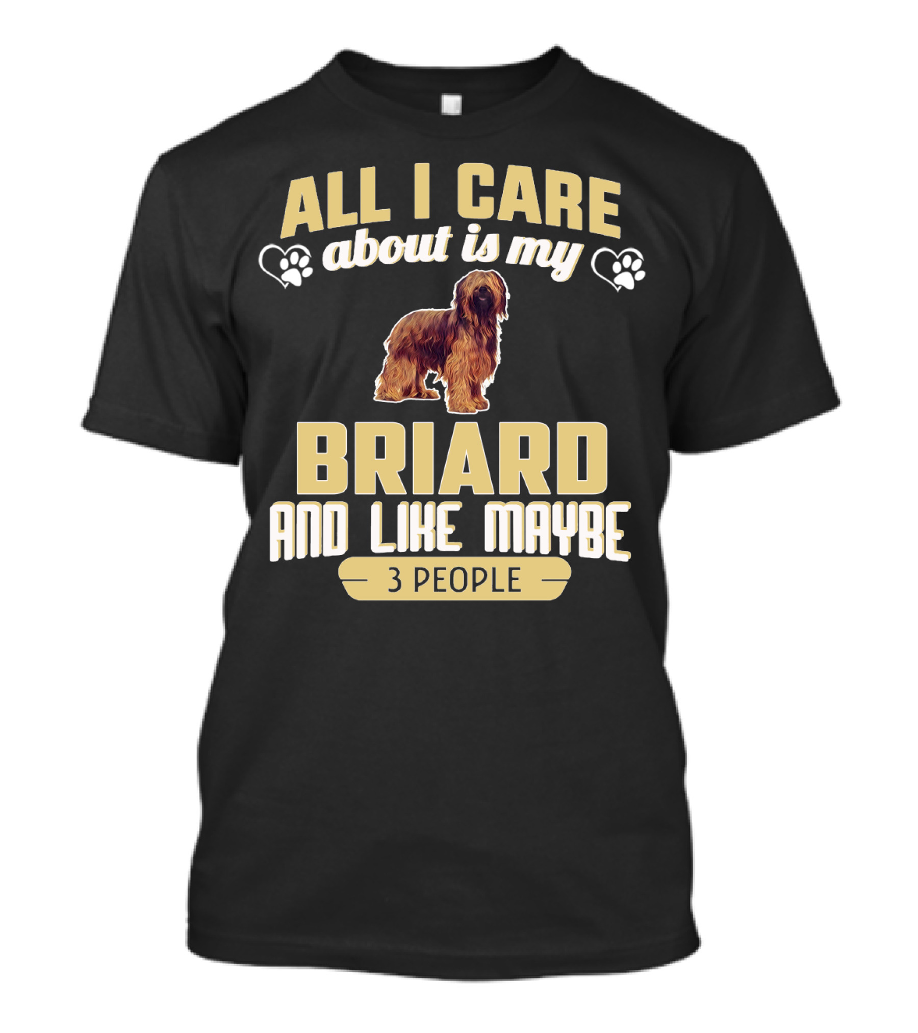 All I Care About Is My Briard And Like Maybe 3 People T-Shirt