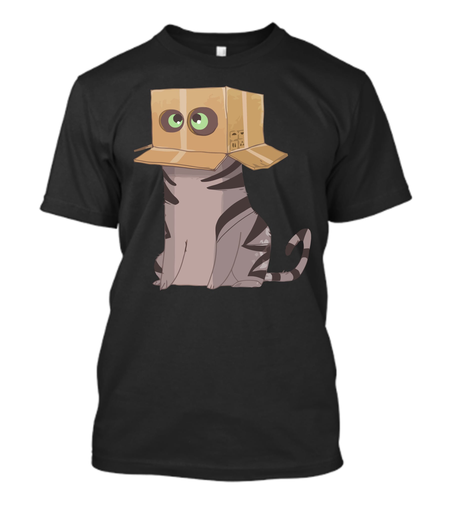 Cat In The Box With Big Eyes Wearing Cardboard Hat T-Shirt