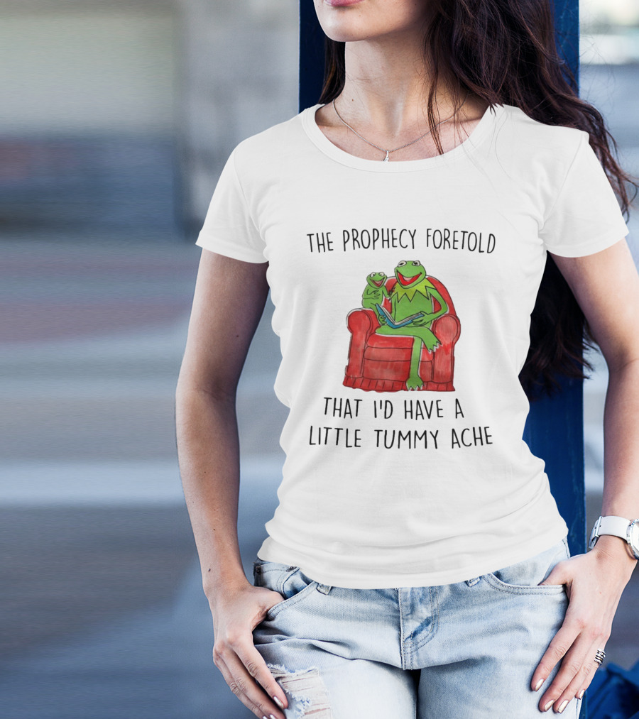 The Prophecy Foretold That I'd Have A Little Tummy Ache - Frog Reading On Red Armchair T-Shirt
