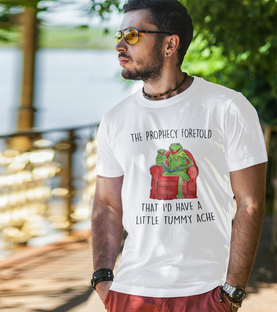 The Prophecy Foretold That I'd Have A Little Tummy Ache - Frog Reading On Red Armchair T-Shirt