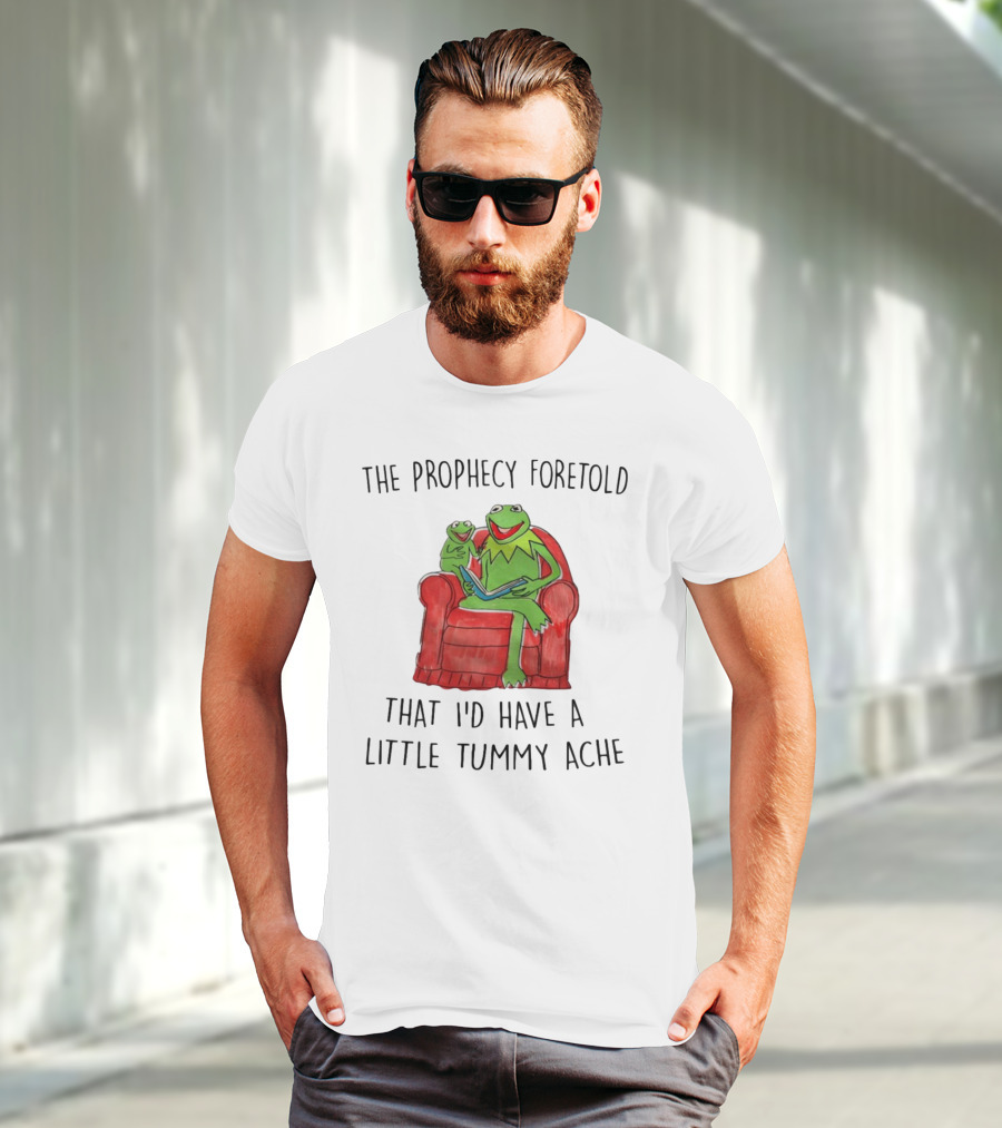The Prophecy Foretold That I'd Have A Little Tummy Ache - Frog Reading On Red Armchair T-Shirt