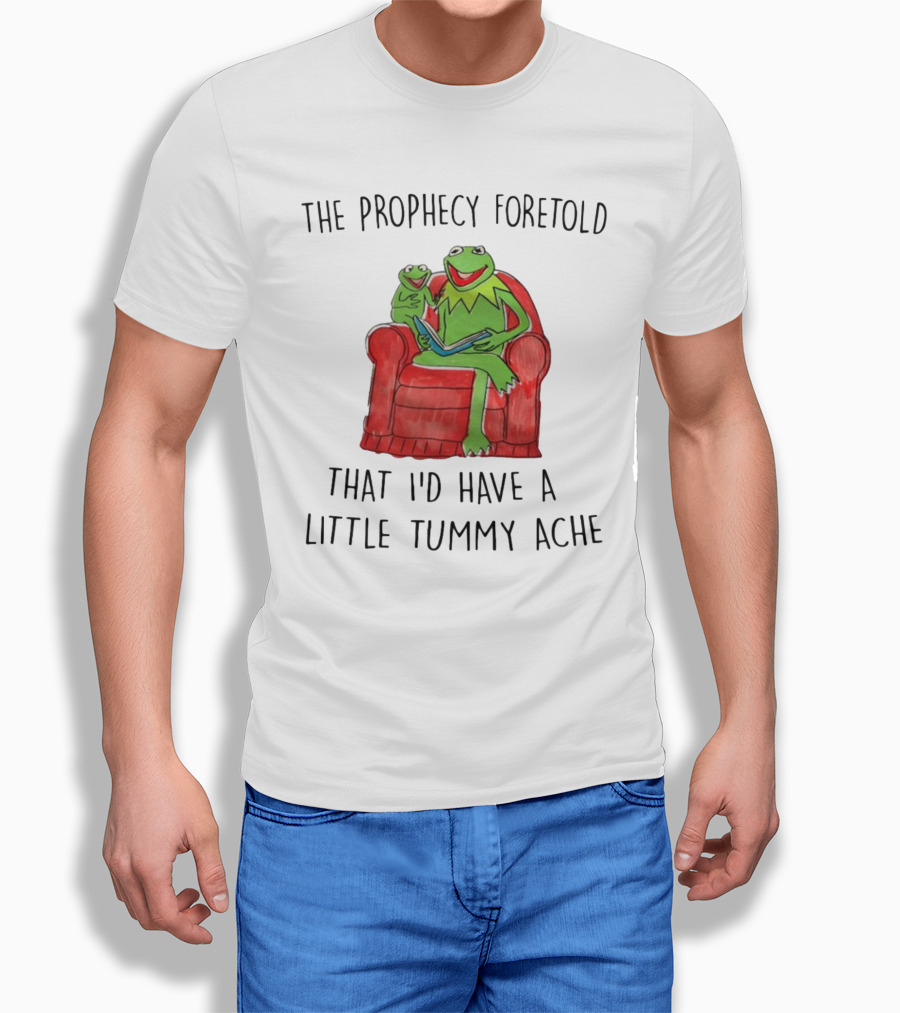 The Prophecy Foretold That I'd Have A Little Tummy Ache - Frog Reading On Red Armchair T-Shirt