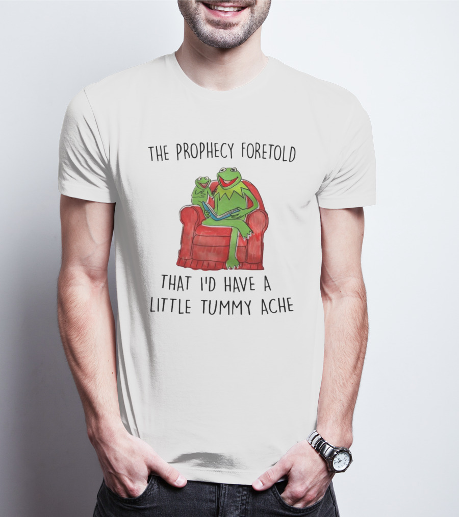 The Prophecy Foretold That I'd Have A Little Tummy Ache - Frog Reading On Red Armchair T-Shirt