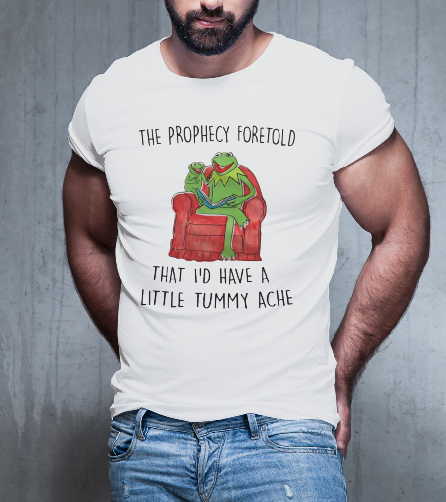 The Prophecy Foretold That I'd Have A Little Tummy Ache - Frog Reading On Red Armchair T-Shirt