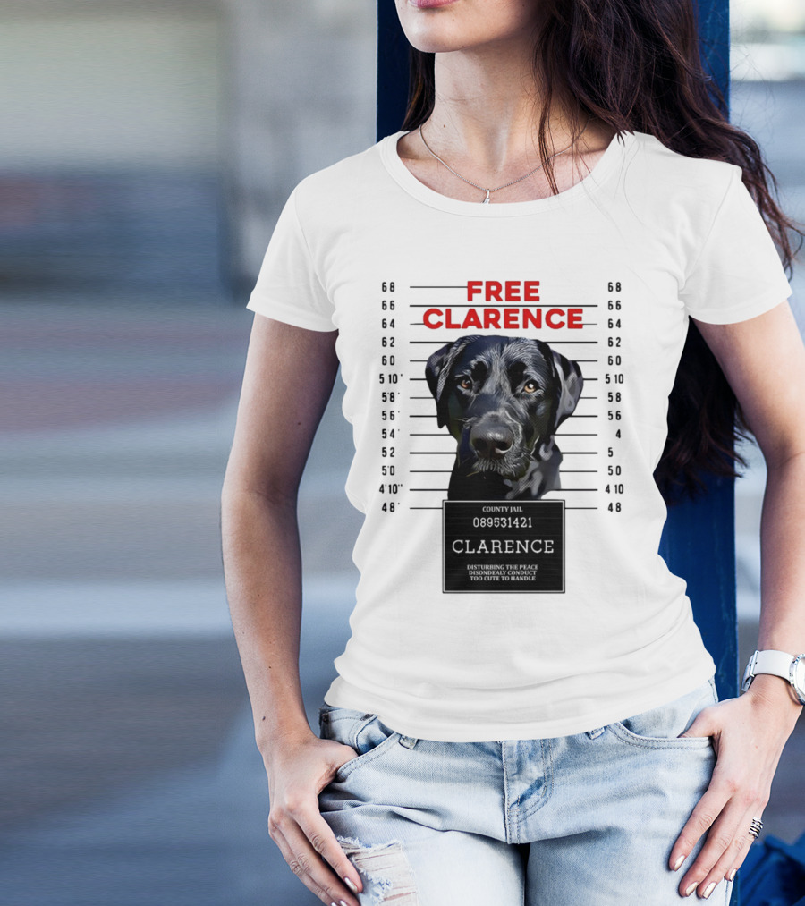 Free Clarence County Jail Disturbing The Peace Disorderly Conduct Too Cute To Handle T-Shirt