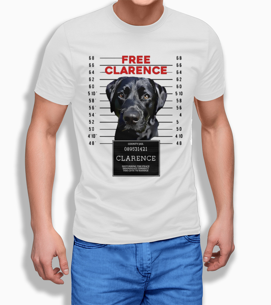 Free Clarence County Jail Disturbing The Peace Disorderly Conduct Too Cute To Handle T-Shirt