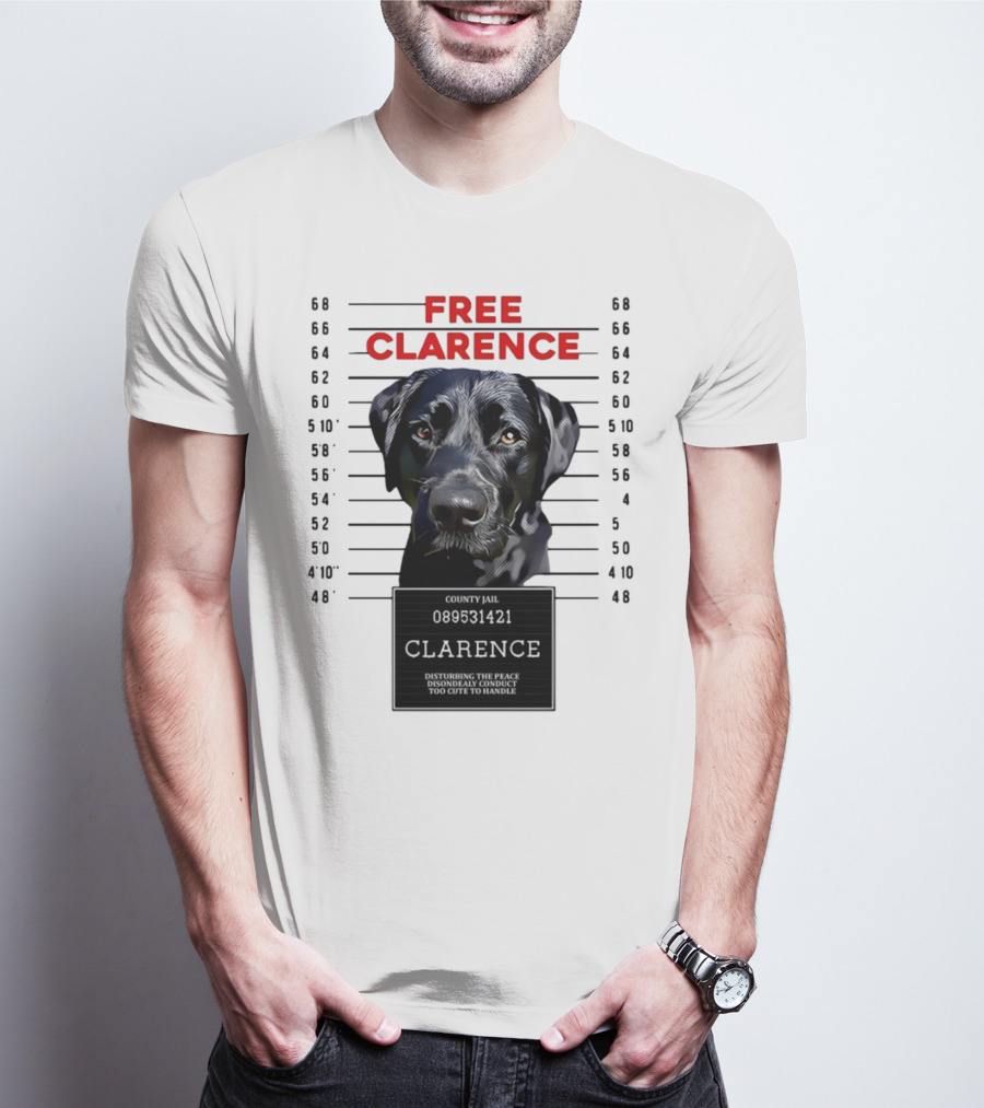 Free Clarence County Jail Disturbing The Peace Disorderly Conduct Too Cute To Handle T-Shirt