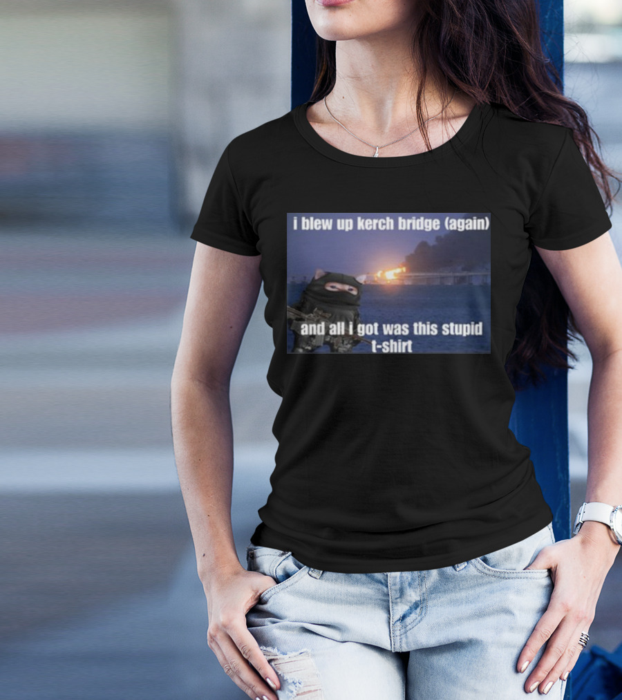 I Blew Up Kerch Bridge Again All I Got Was This Stupid T-Shirt Cat Soldier Explosion T-Shirt