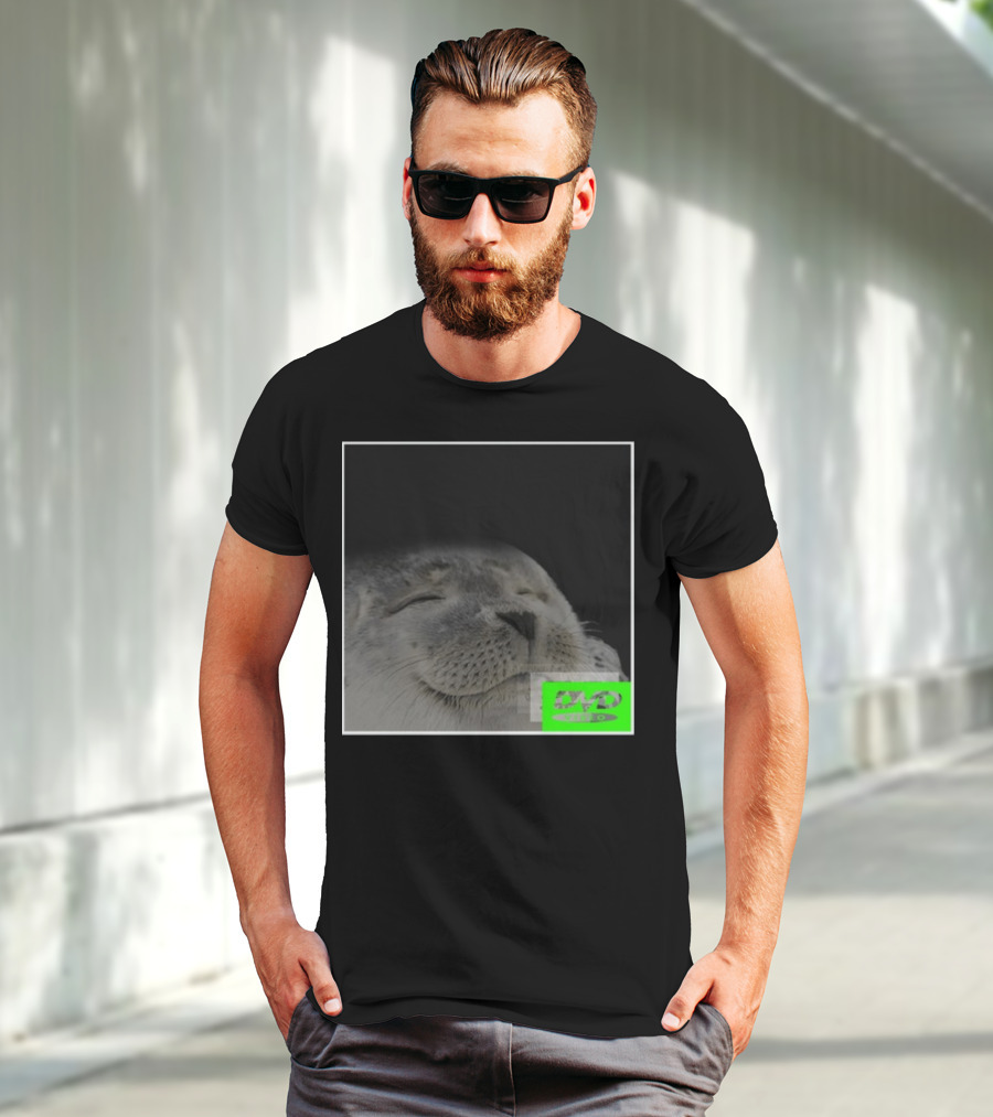 Bouncing DVD Hits Corner Idle Screen Meme Relaxed Seal T-Shirt