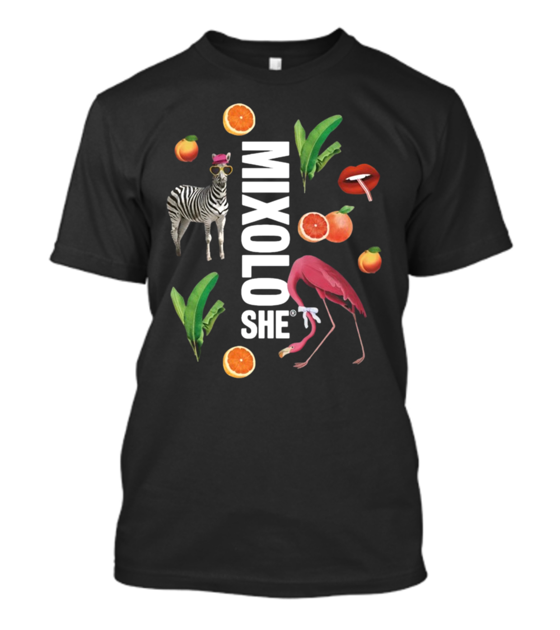 Mixoloshe Zebra Flamingo Lips With Fruits And Leaves T-Shirt