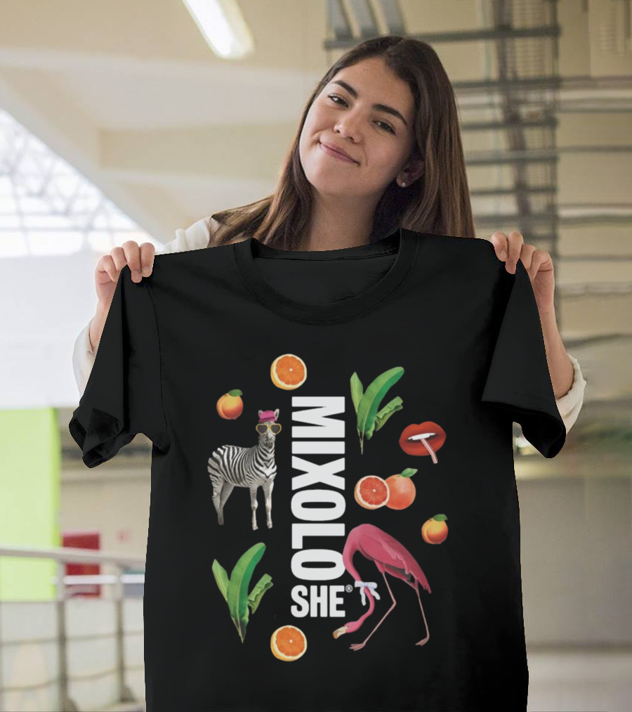 Mixoloshe Zebra Flamingo Lips With Fruits And Leaves T-Shirt