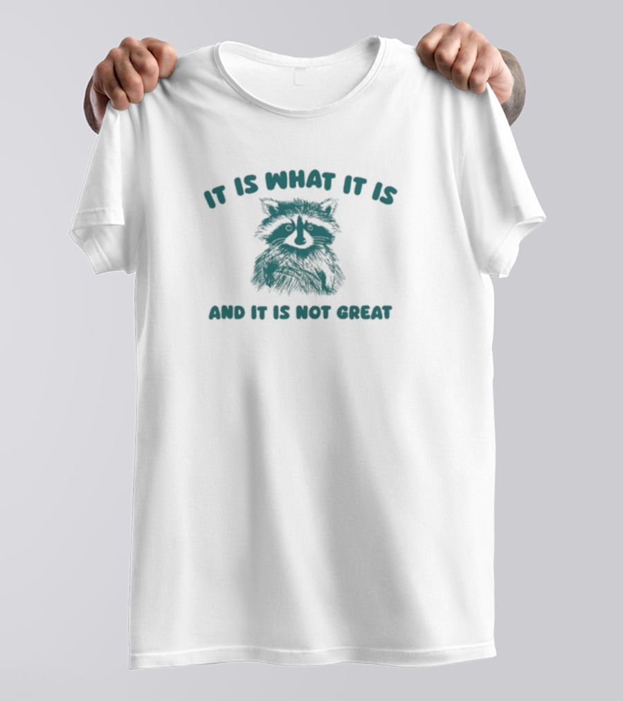 It Is What It Is And It Is Not Great Raccoon T-Shirt