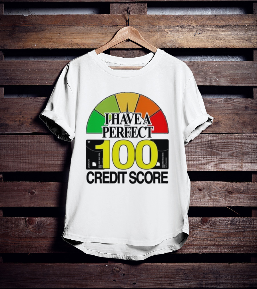 I Have A Perfect 100 Credit Score Gauge Graph T-Shirt