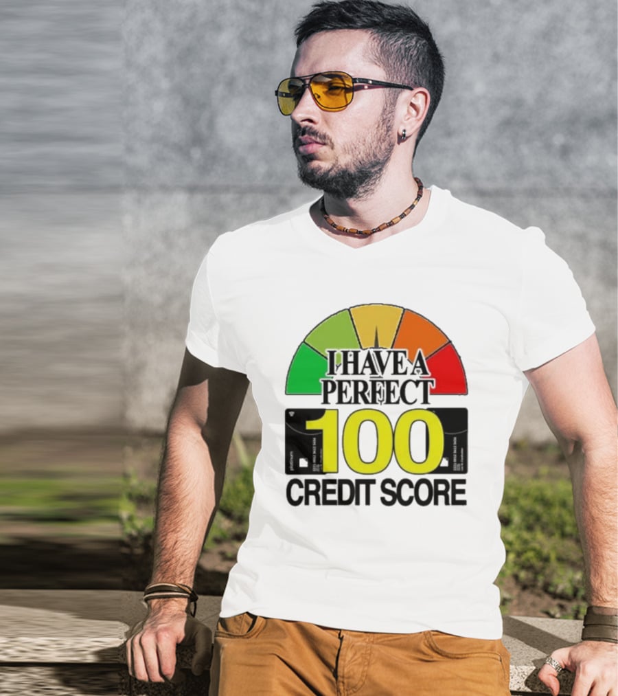 I Have A Perfect 100 Credit Score Gauge Graph T-Shirt