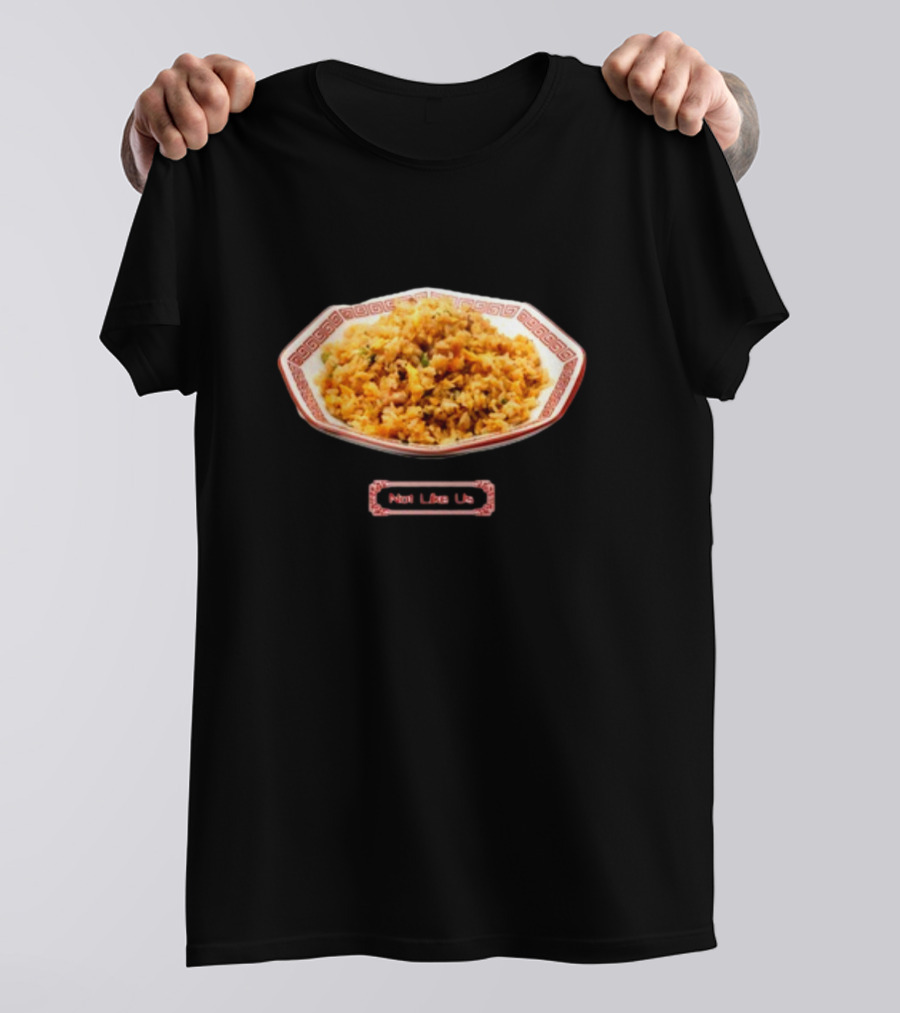 Kendrick Lamar's Not Like Us Ho King Fried Rice Chinese Food Dish T-Shirt